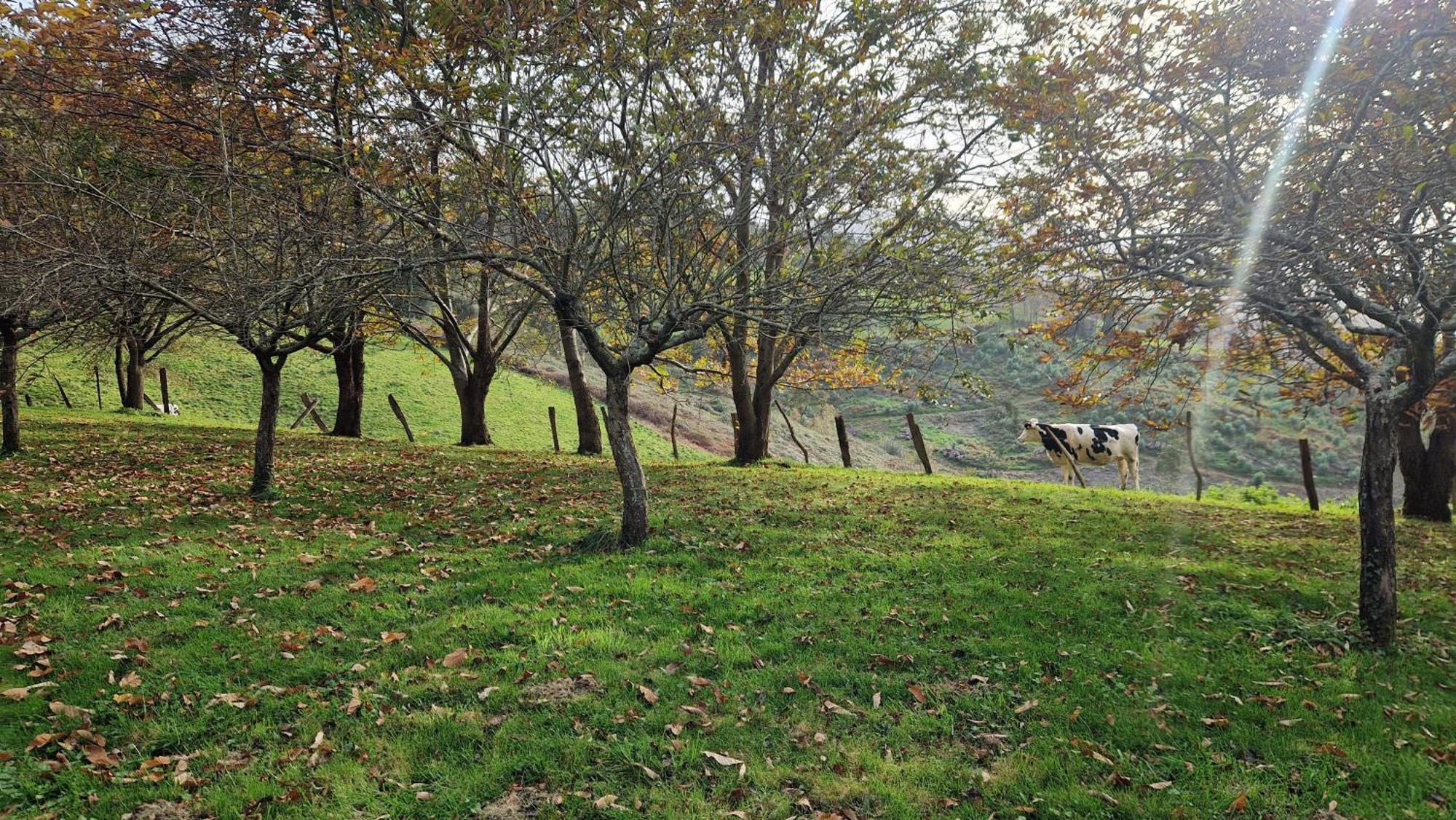 Casa Bezales En Ampuero Cantabria Buitenkant foto